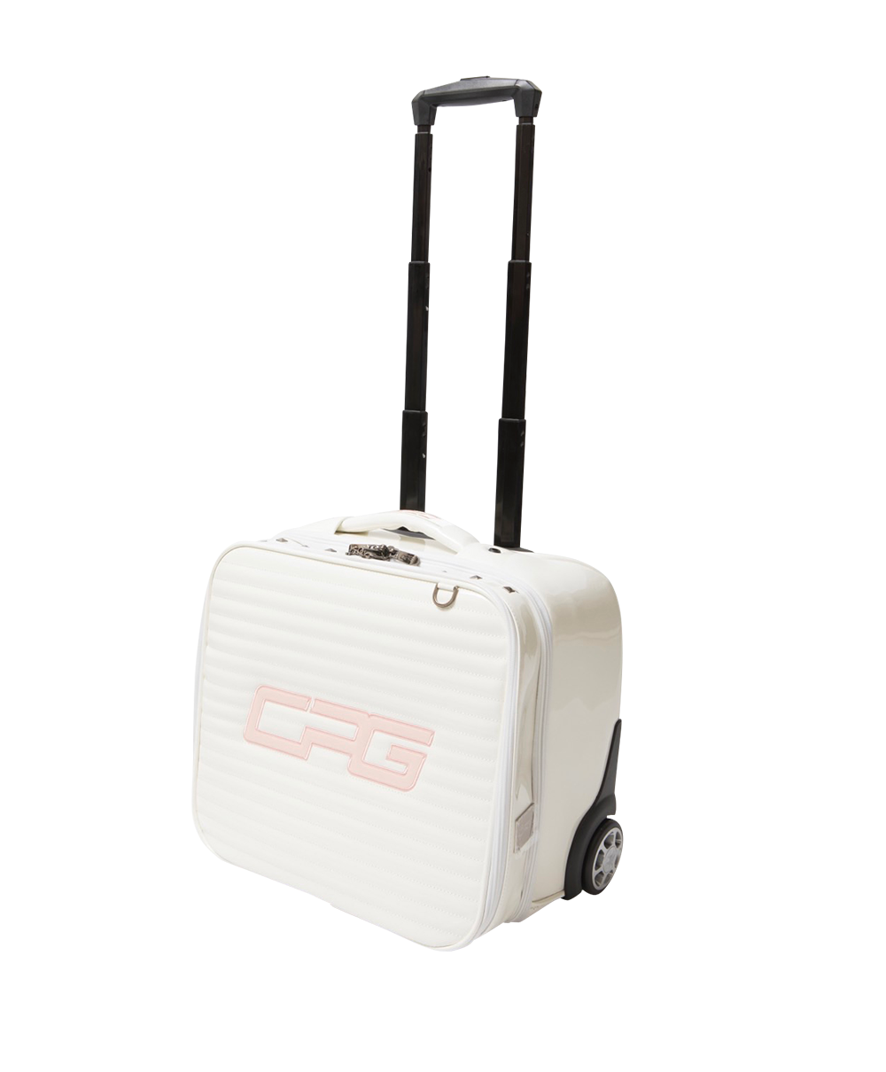 【Sample】Big logo soft carry case