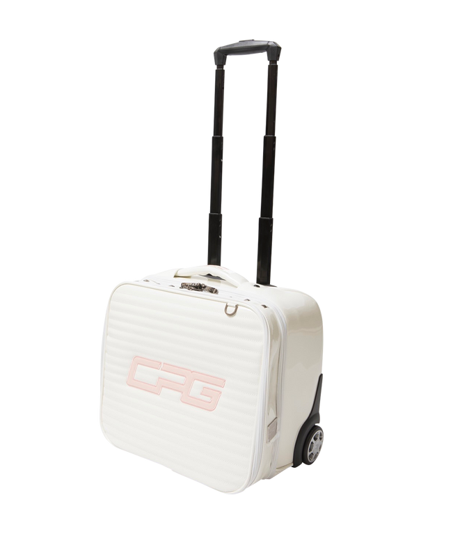 【Sample】Big logo soft carry case