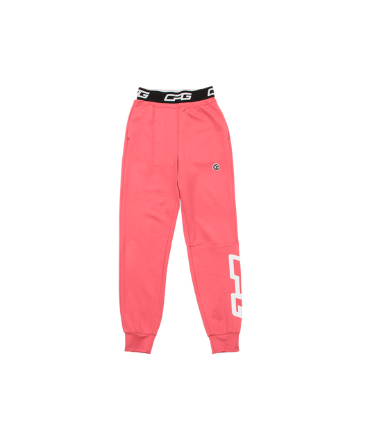 High stretch sweatpants (하이 스트레치 스웨트 팬츠) | WOMEN