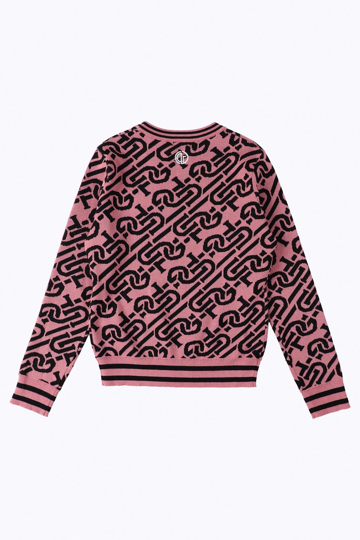 chain logo ribbed sweater（チェーンロゴリブセーター）