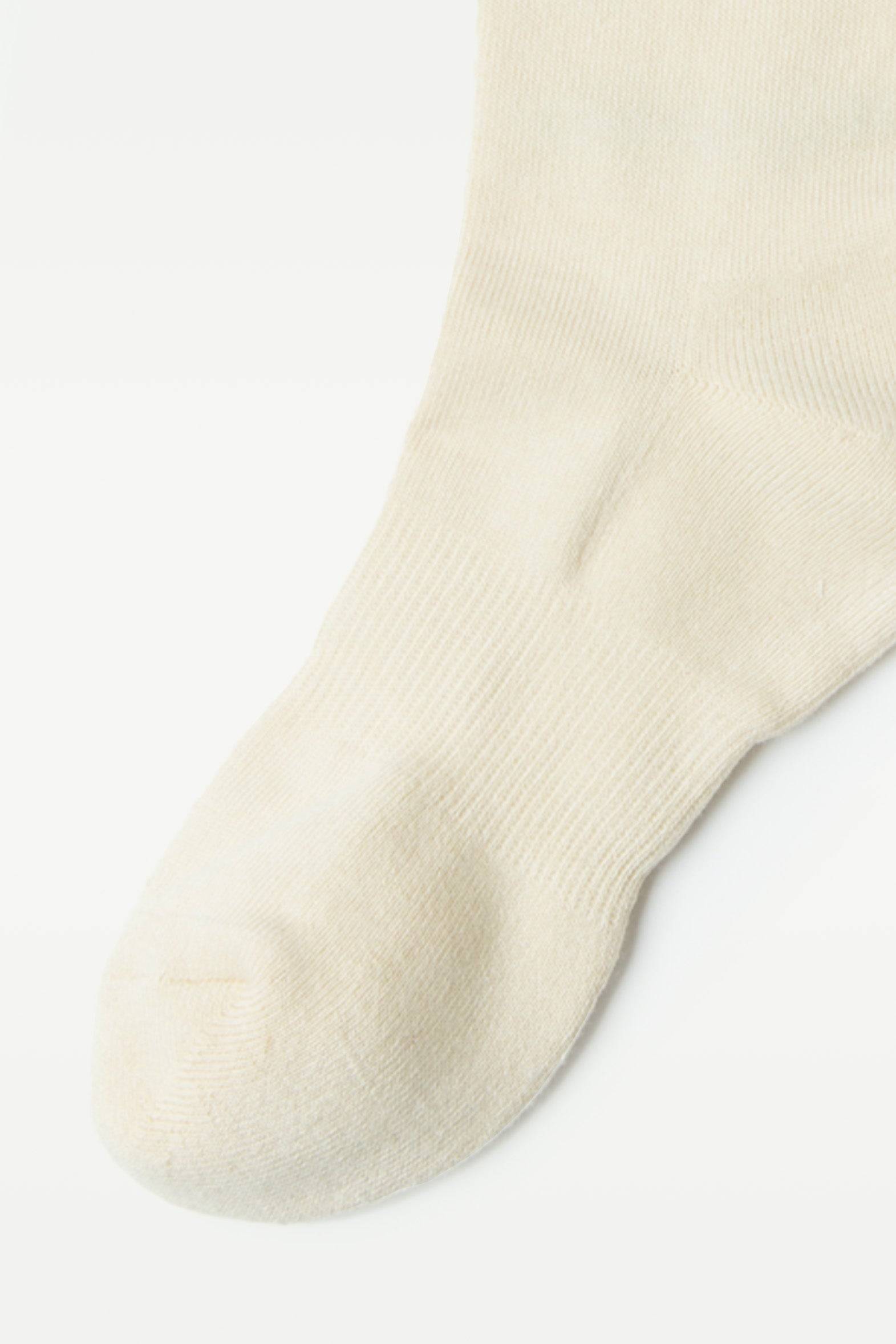 CPG HIGH SOX1-SAMPLE-