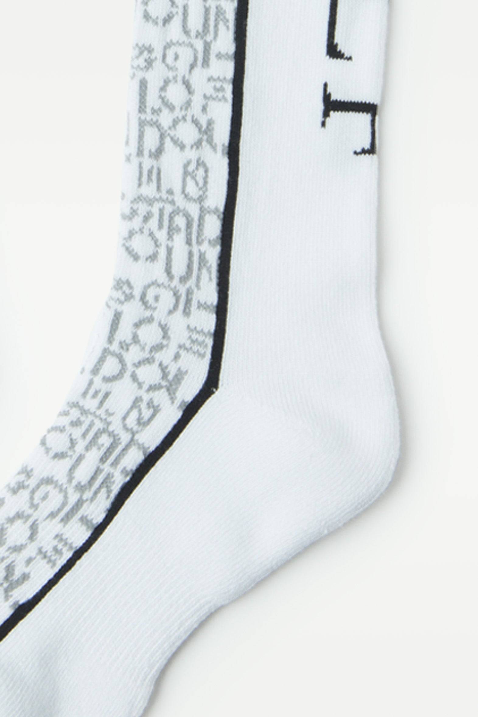 CPG HIGH SOX2-SAMPLE-