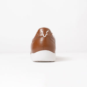 【9월 하순경 출하 예정】PAMIR-파미르-CP