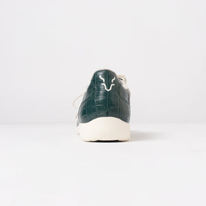 【9월 하순경 출하 예정】PAMIR-파미르-CP