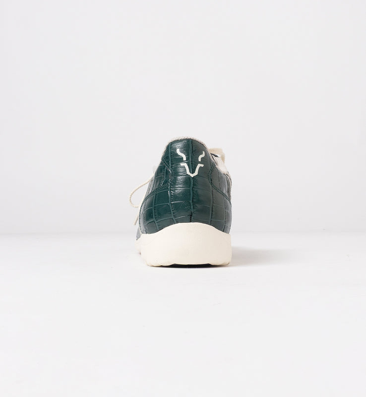 【9월 하순경 출하 예정】PAMIR-파미르-CP