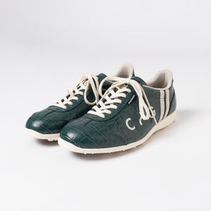 【9월 하순경 출하 예정】PAMIR-파미르-CP