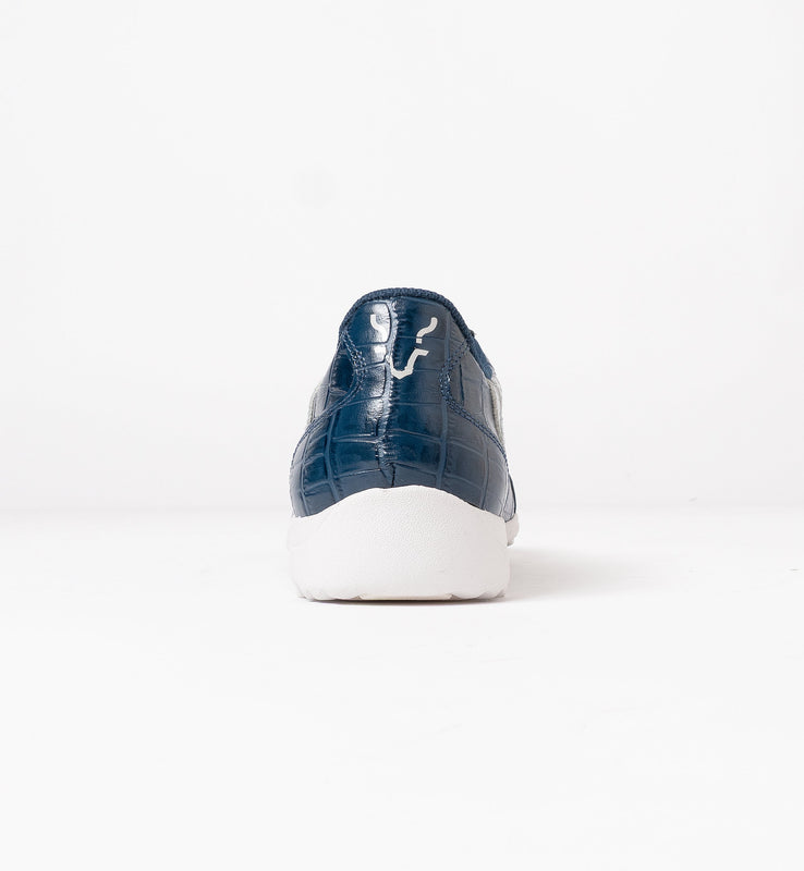 【9월 하순경 출하 예정】PAMIR-파미르-CP